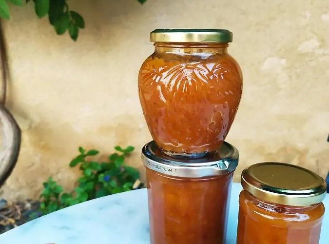 老面包店酒店 3* Chavagnes